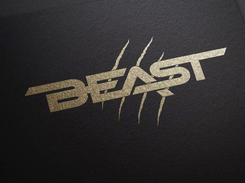 Beast - Fightwear & Fitness Equipment - Branding & Logo Design